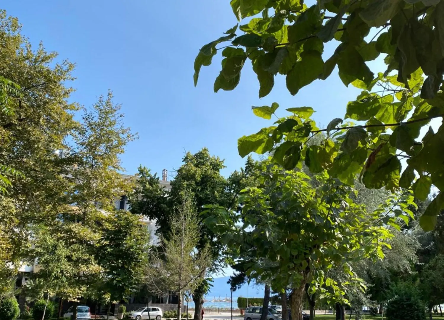 Matilde Apartment Pogradec