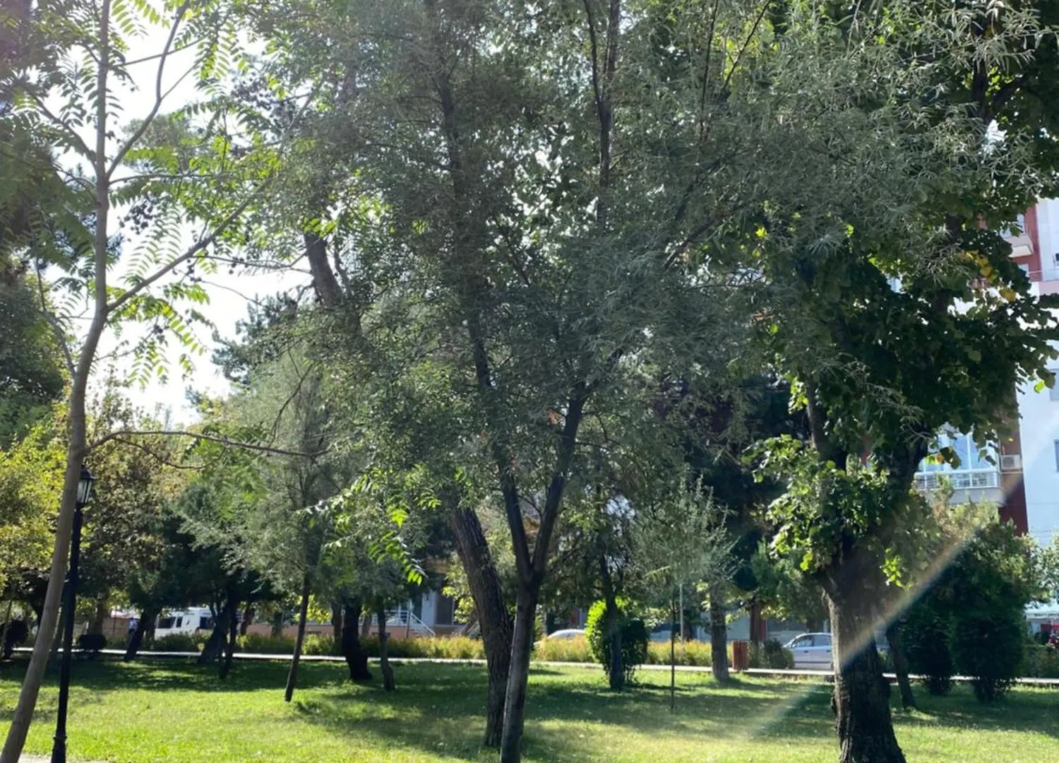 Matilde Apartment Pogradec